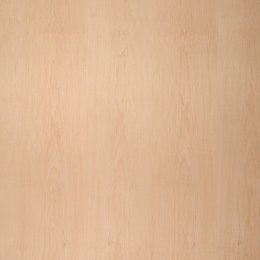 Maple Veneer